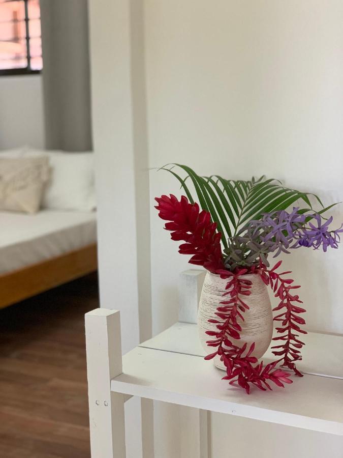 Elena Brown Apartment Puerto Viejo de Talamanca