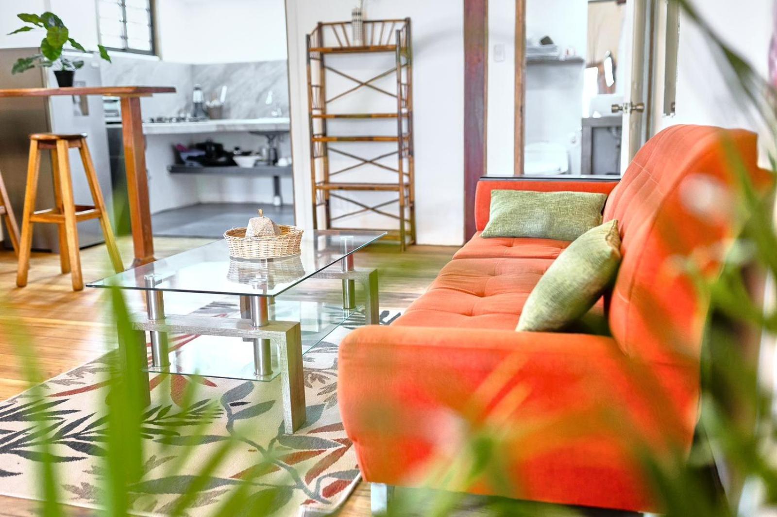 Apartment Elena Brown *