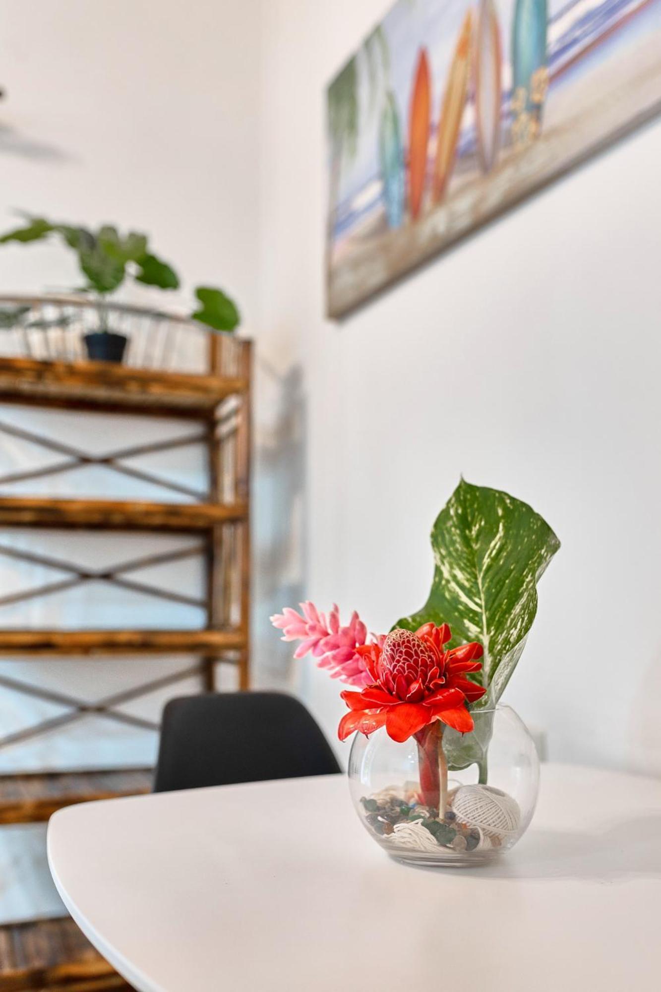 Apartment Elena Brown